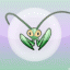 Mantis